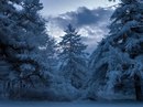 Іван Пришко фотография #43 (источник - https://vk.com/id126708098)