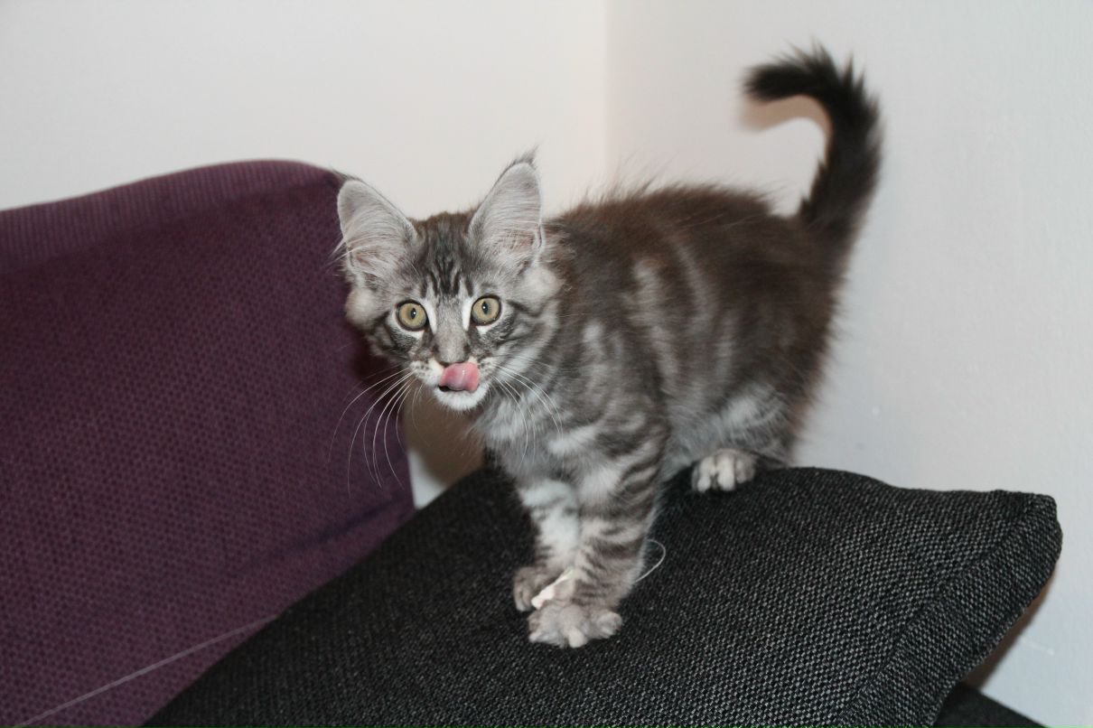 Мария Дик фотография #34