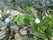 Діма Романчак фотография #5 (источник - https://vk.com/id52700250)