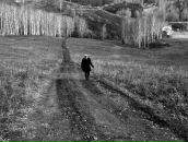 Фотография Лапшиной-Дитрих Екатерины