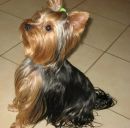 Ірина Цімер фотография #41 (источник - https://vk.com/id161227445)