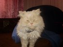 Анастася Мельник фотография #25 (источник - https://vk.com/id165748315)