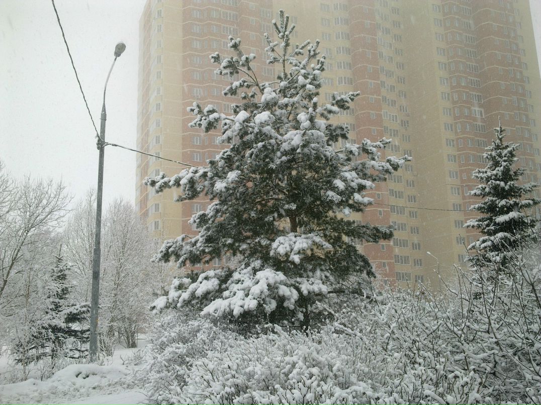 Eldar Asadullaev фотография #38