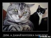 Фотография Маматовой Яны