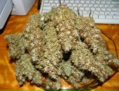 Міша Приймич фотография #40 (источник - https://vk.com/id53631175)