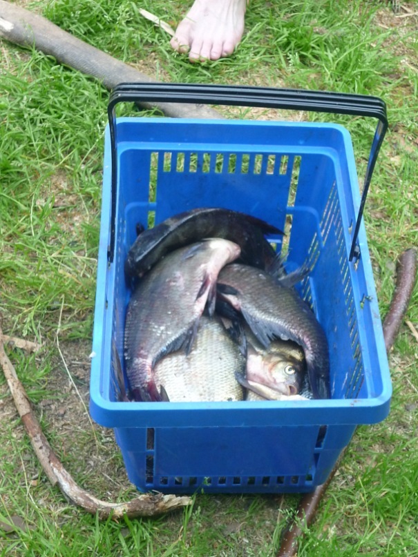 Иван Быков фотография #31