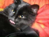 Фотография Громовой Юлечки