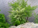 Євгеній Кузьменко фотография #43 (источник - https://vk.com/id10526590)