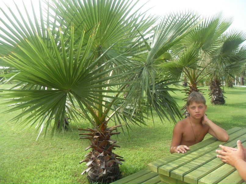 Даниил Туев фотография #14