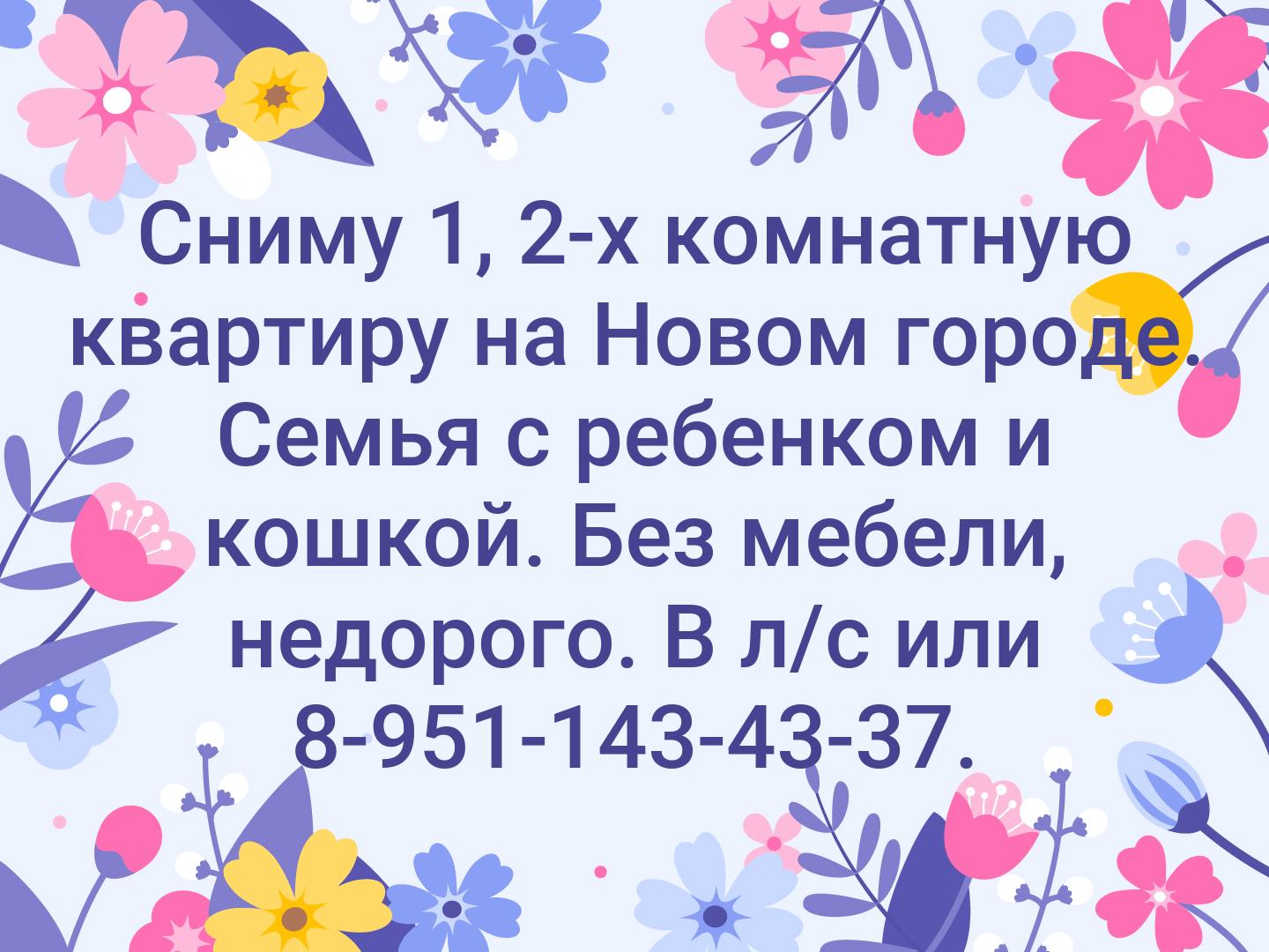 Сниму 1, 2-х комнатную квартиру на Новом городе. Семья с ребенком и кошкой. Без мебели, недорого. В л/с или 8-951-143-43-37.